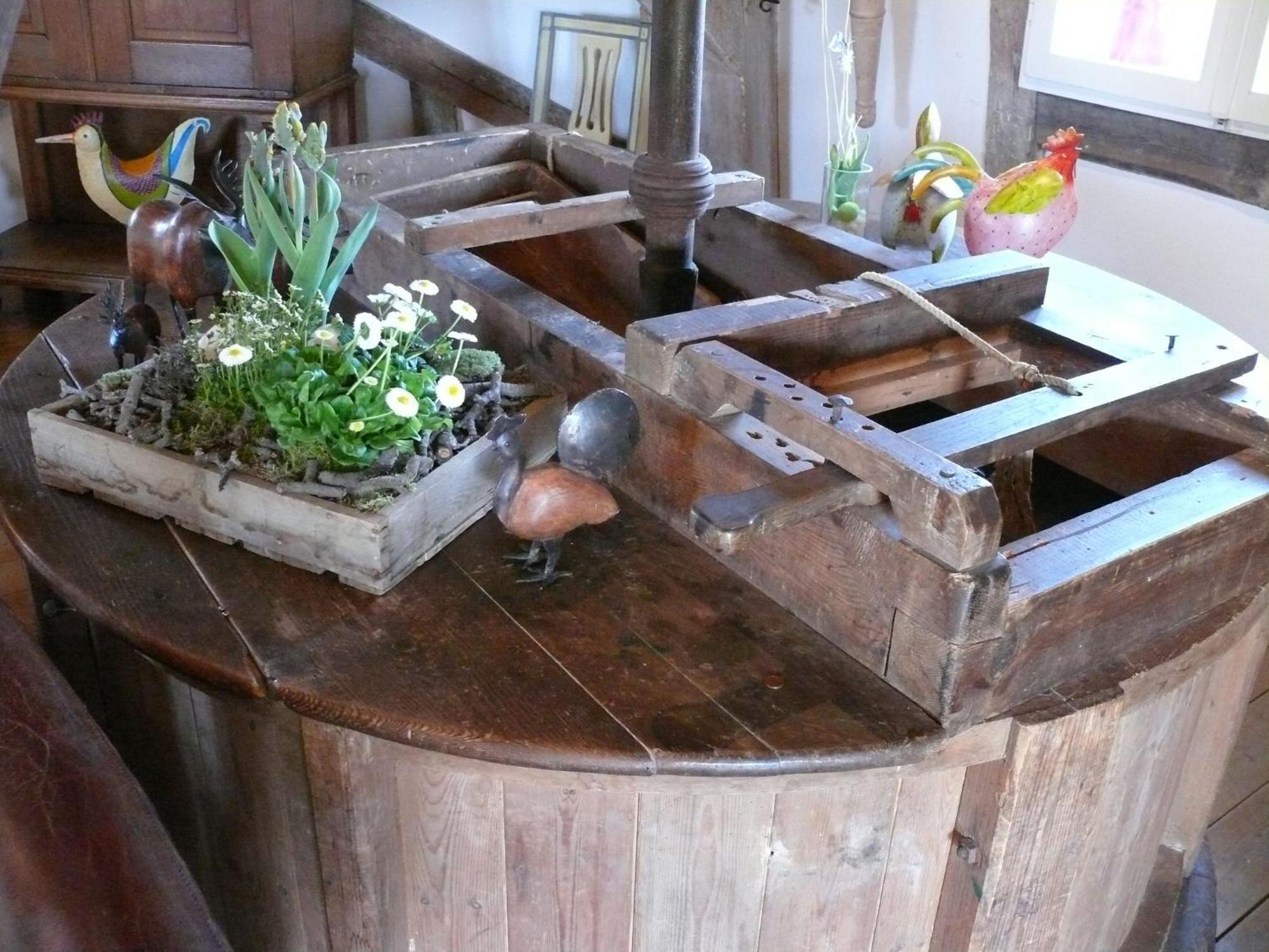 Beautiful Authentic Mill Close To The Beach Wangels Екстер'єр фото